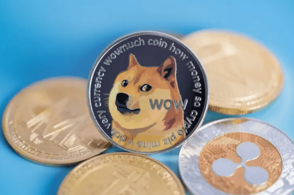Dogecoin Is Now The Most Popular Cryptocurrency On India's CoinSwitch