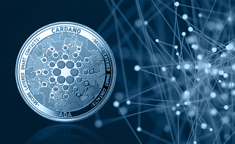 Cardano Millionaires Profited From The Most Recent ADA Price Increase 1