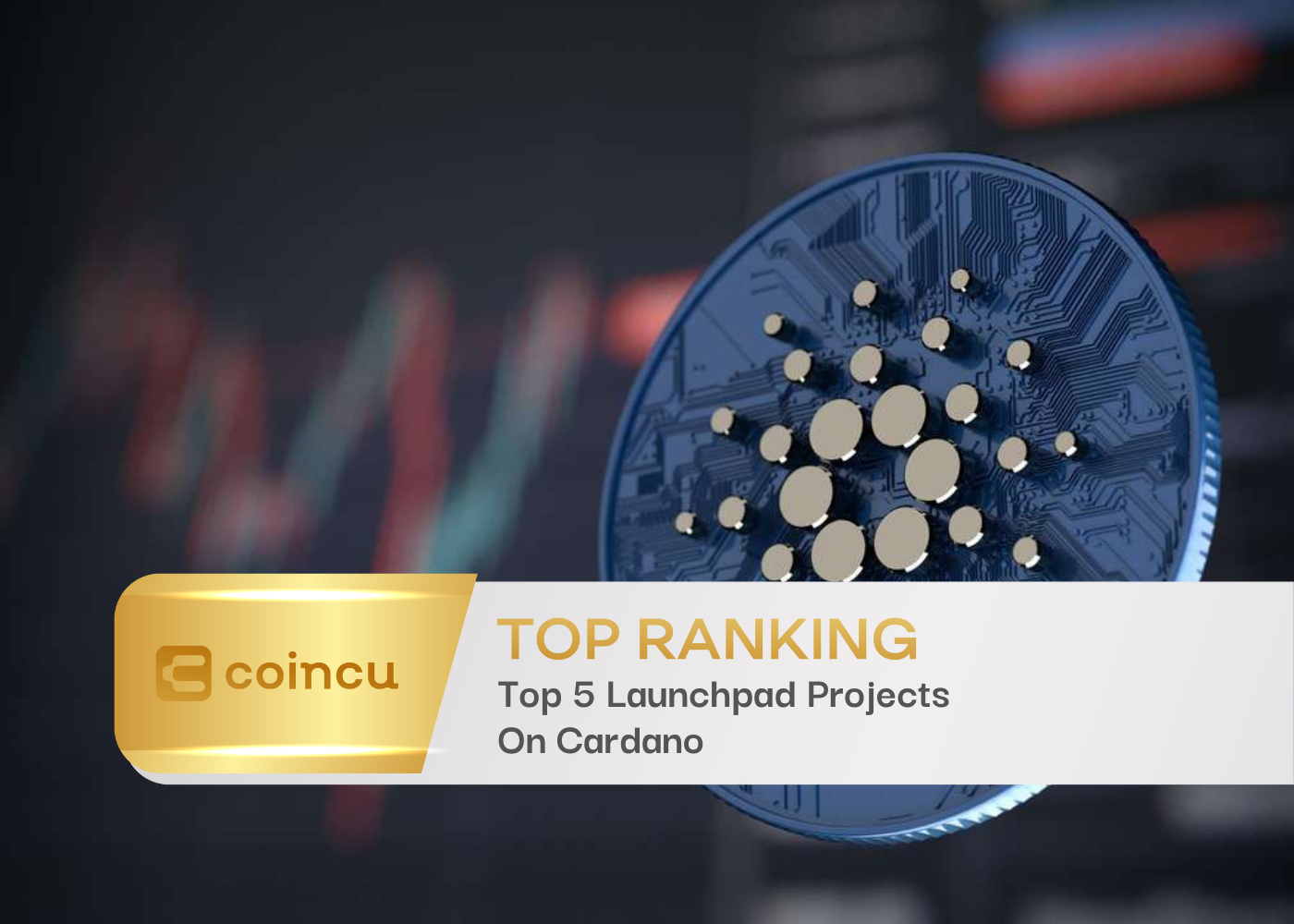Top 5 Launchpad Projects On Cardano - CoinCu News