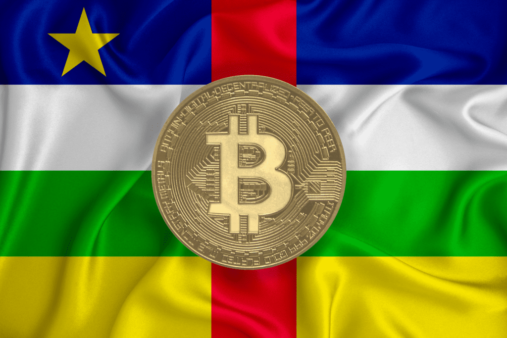 Central African Republic Promotes Strong Crypto Legalization