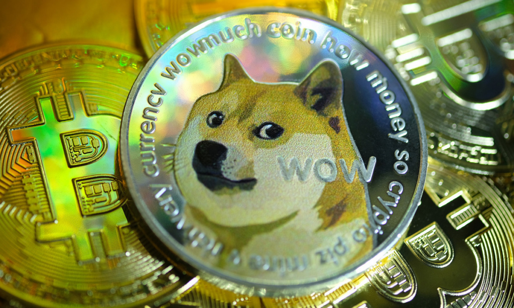 55% Dogecoin (DOGE) Holders Now In Profit As It Rallies 20%