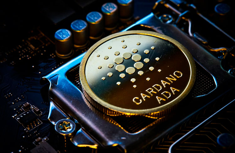 Cardano's Big Update: What Does Vasil Hard Fork Mean