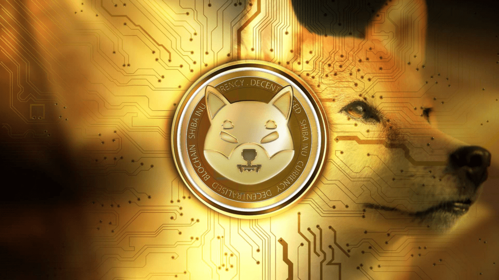 A equipe Shiba Inu alerta sobre os tokens beta no lançamento do portal Shibarium
