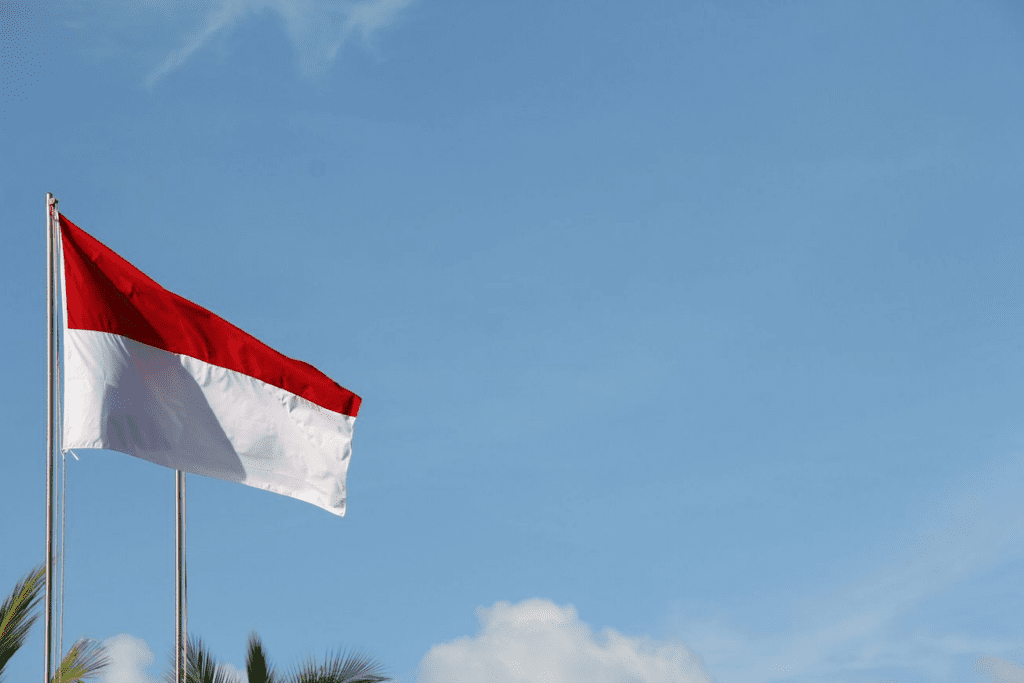 Индонезия продвигает национальную криптовалютную биржу в 2023 году после падения FTX