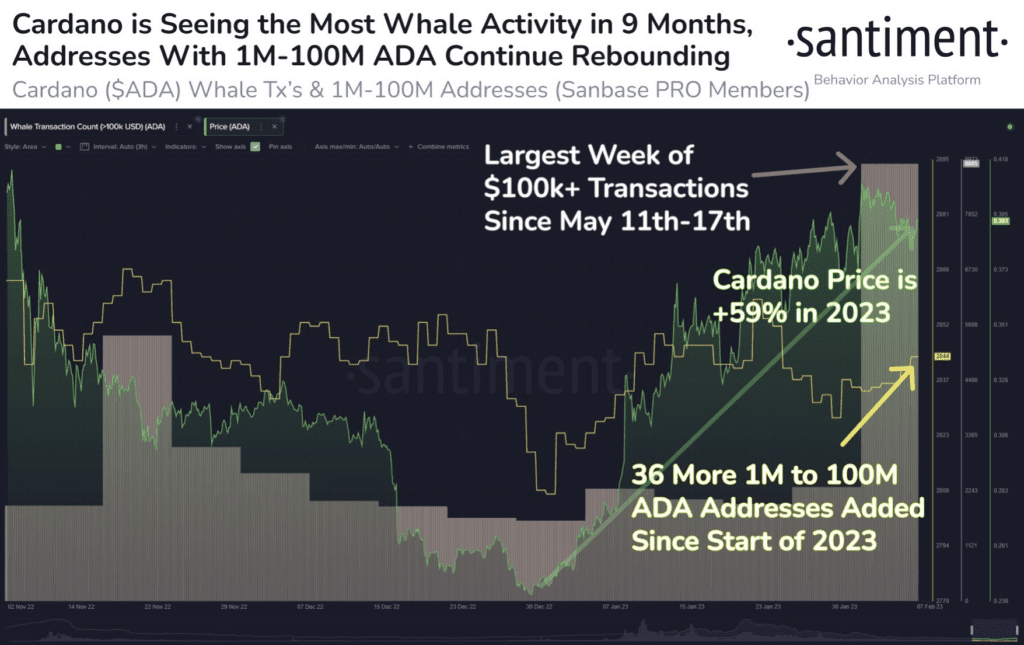 Cardano (ADA) Whale Numbers Rise In 2023 While $416.5 Billion Bitcoin Off Exchanges