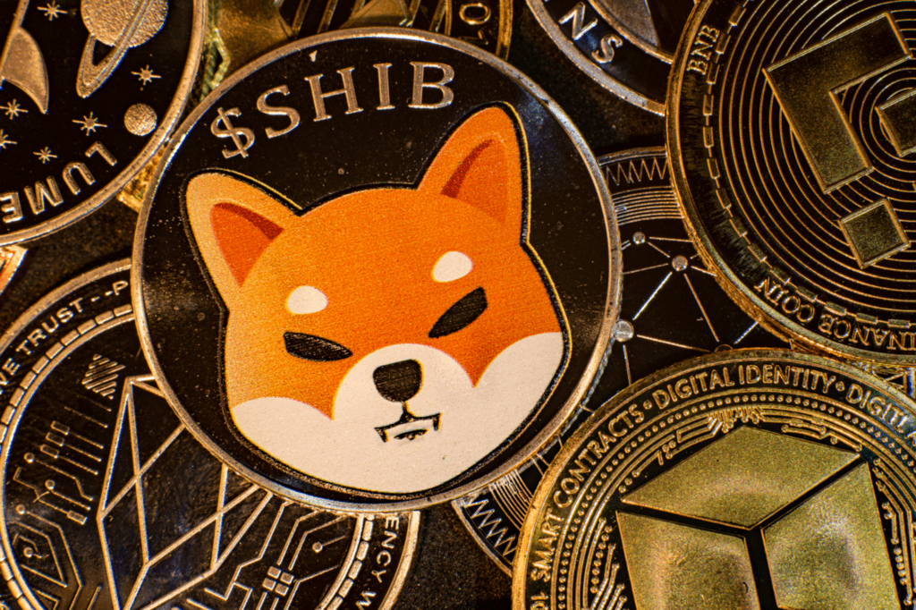 Shiba Inu Can Be Used As A Form Of Payment In The Decentralized Domain