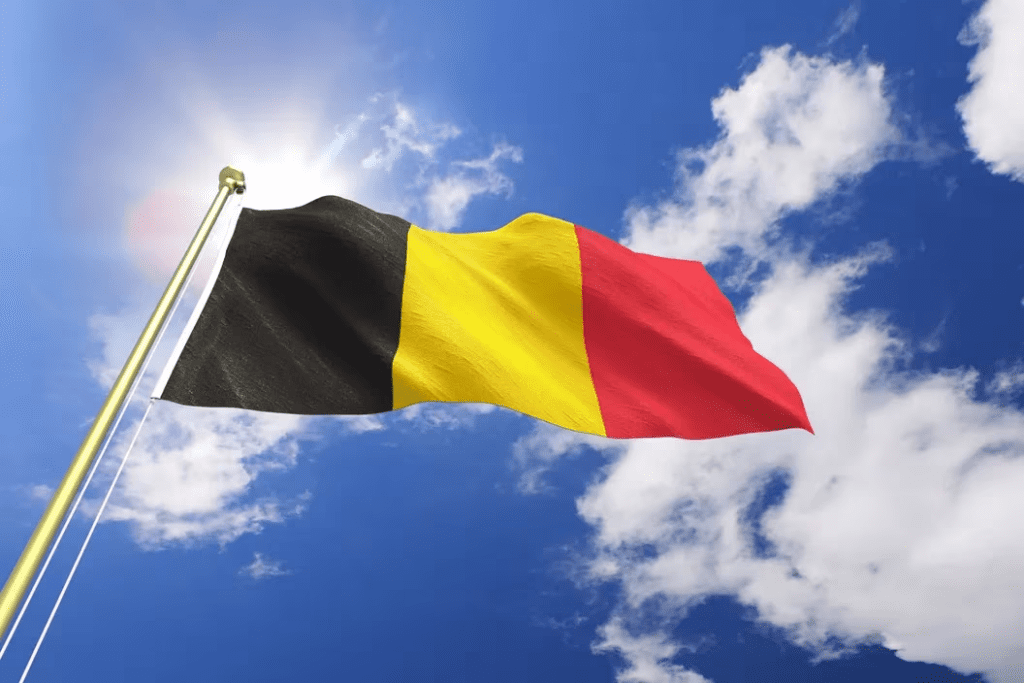 Belgian Regulators Introduce New Rules Requiring Crypto Ads To Warn Of Risks