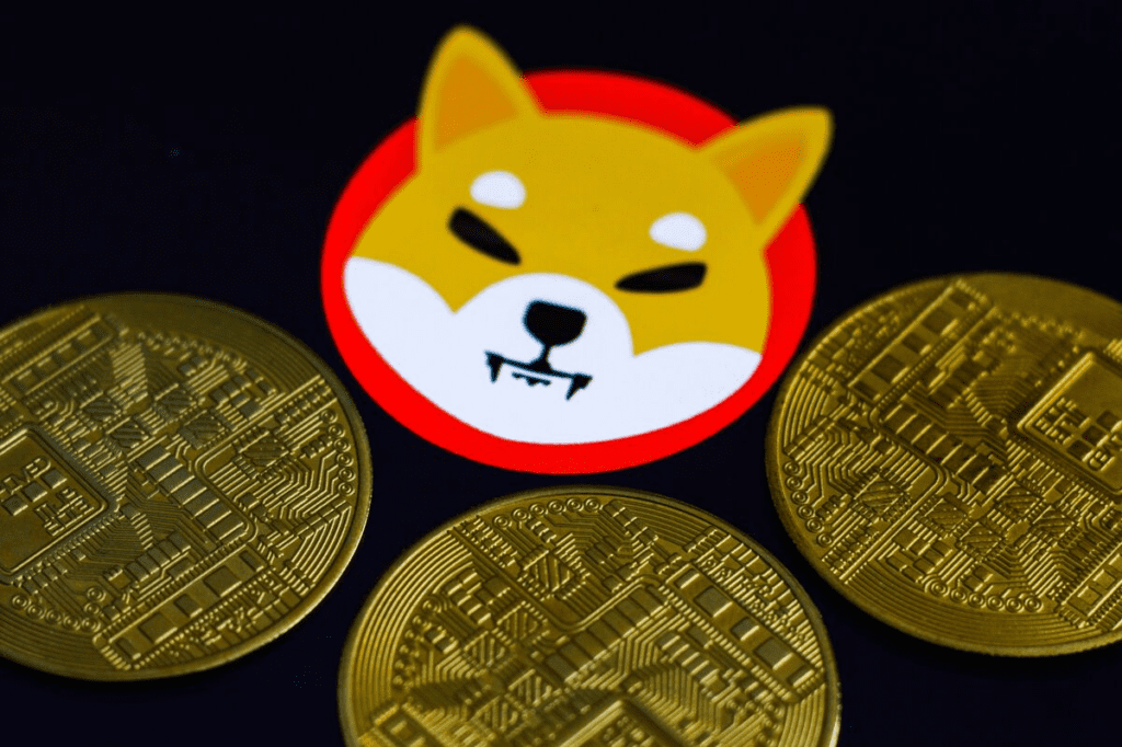Binance To Move SHIB Out Of Innovation Zone For Official Trading 