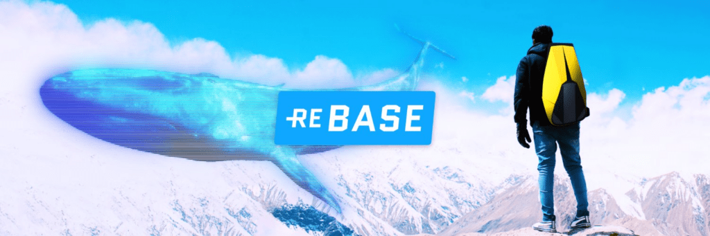 Rebase Co-founder Allegedly Stealing A Joint Wallet Worth $2 Million