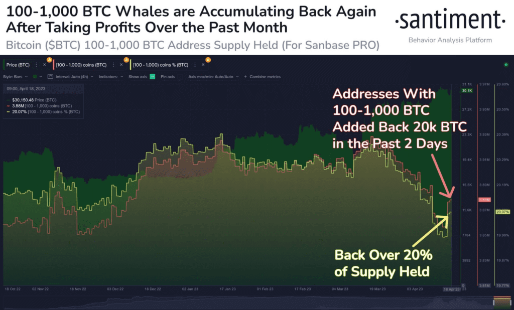 Bitcoin Whales Trigger FOMO With Massive 20k BTC Haul