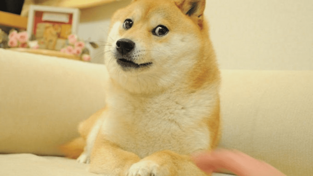 Twitter Logo Changed To Dogecoin, DOGE Price Surges 20%