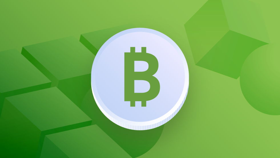 Bitcoin Cash BCH Unveils Game Changing Upgrade