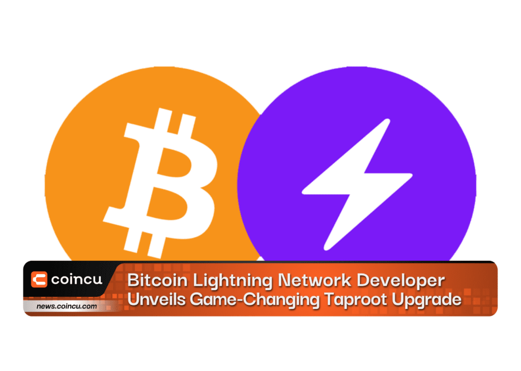 Bitcoin Lightning Network Developer