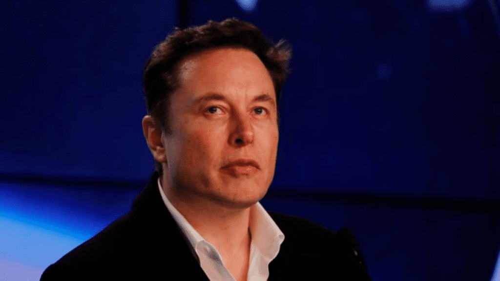 Elon Musk Creates Excitement For Milady NFT Collection Again