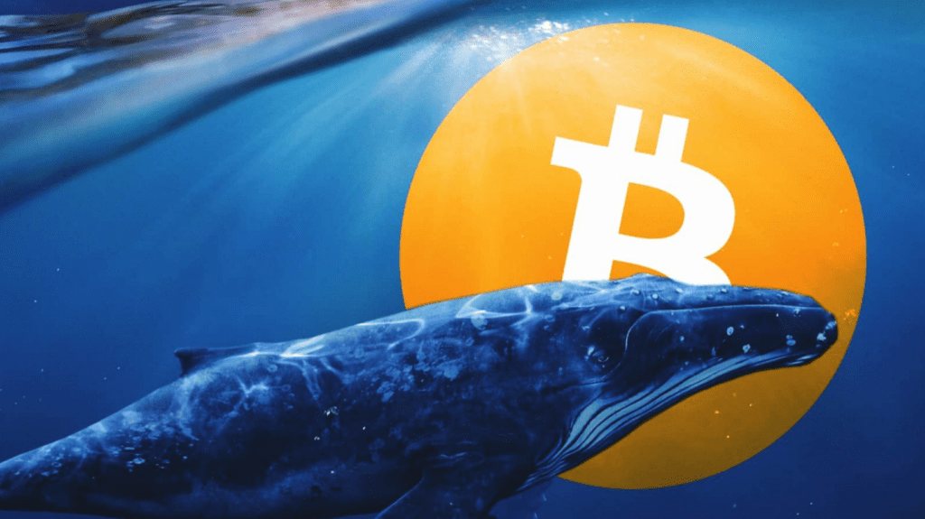 Whale Moves 396 Million in Bitcoin 1
