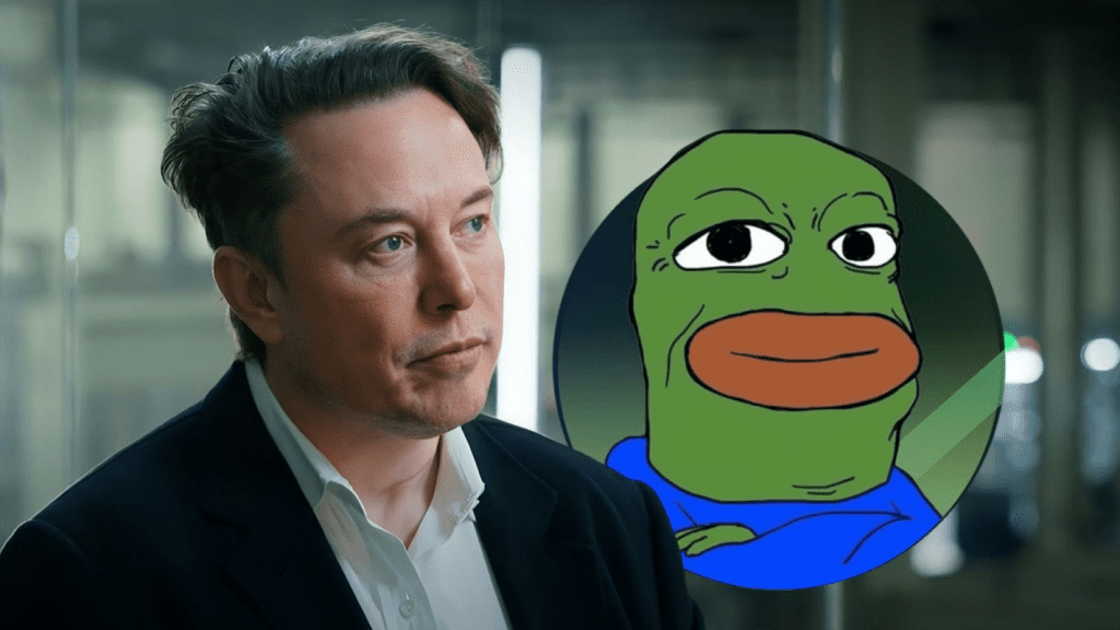 BOB Price Plummets 45% After Elon Musk Calls Twitter Bot A Scam